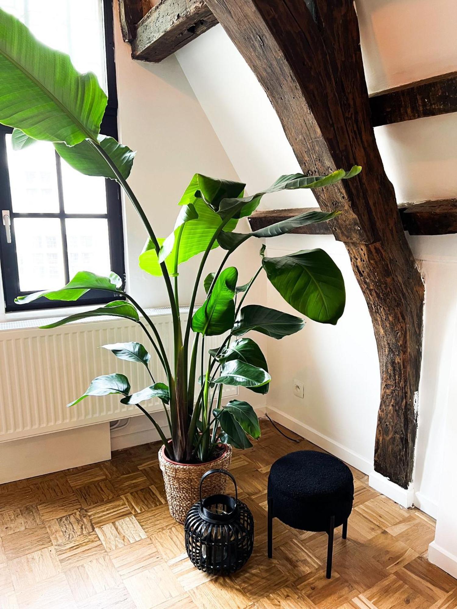 Nammos Home'S Antwerp Luaran gambar